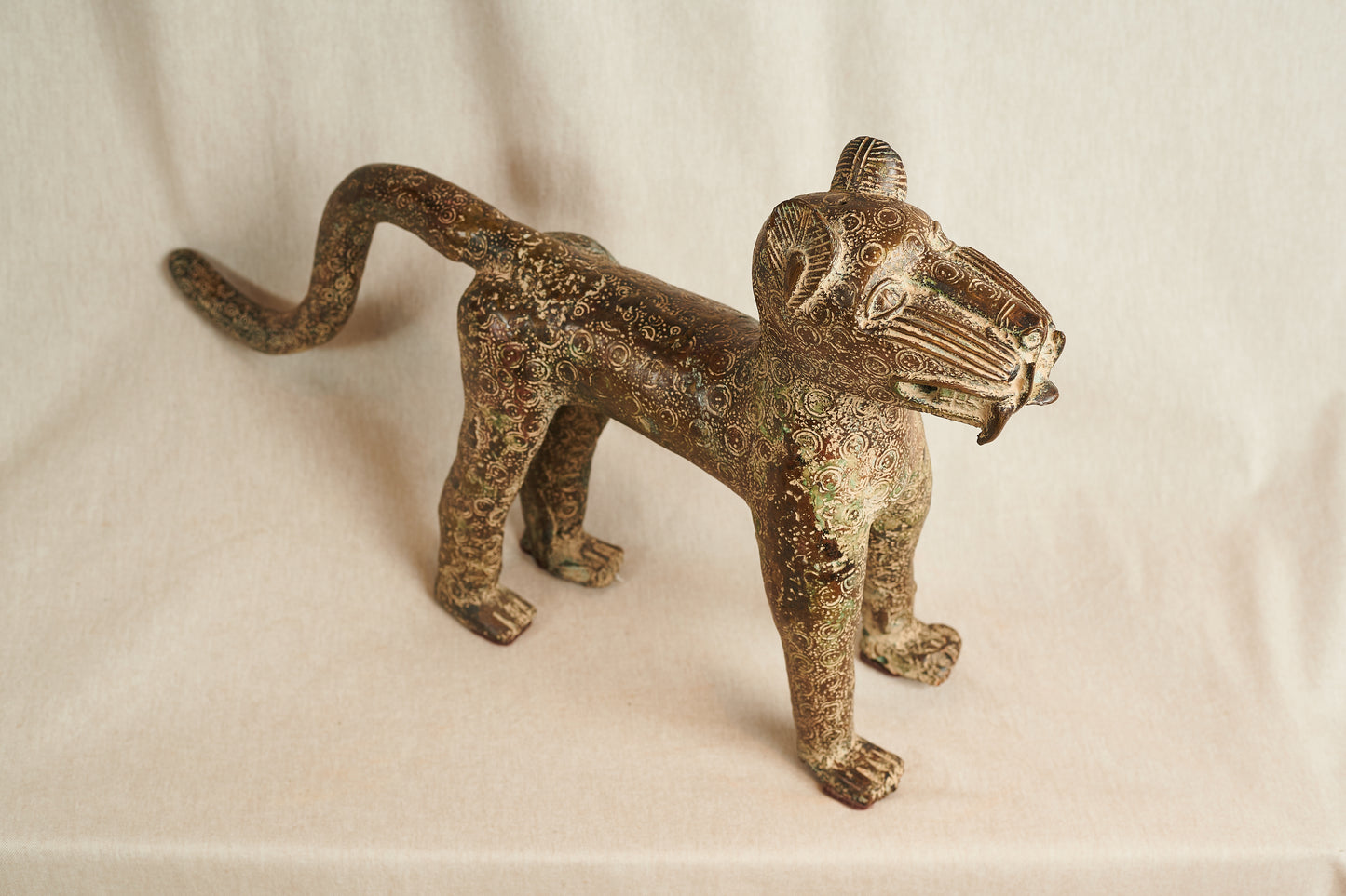 Leopardo Bronce